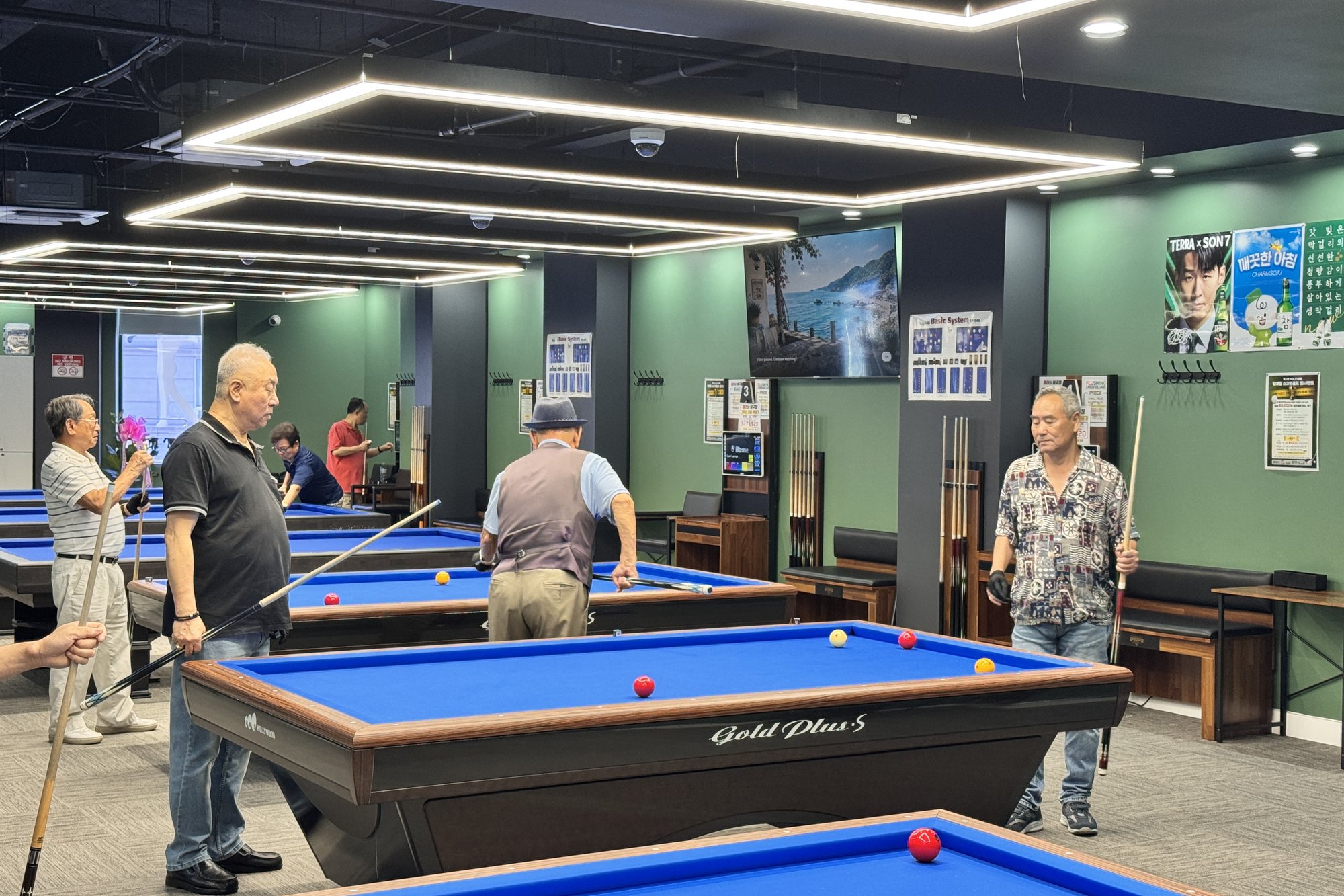 Flushing Billiards players